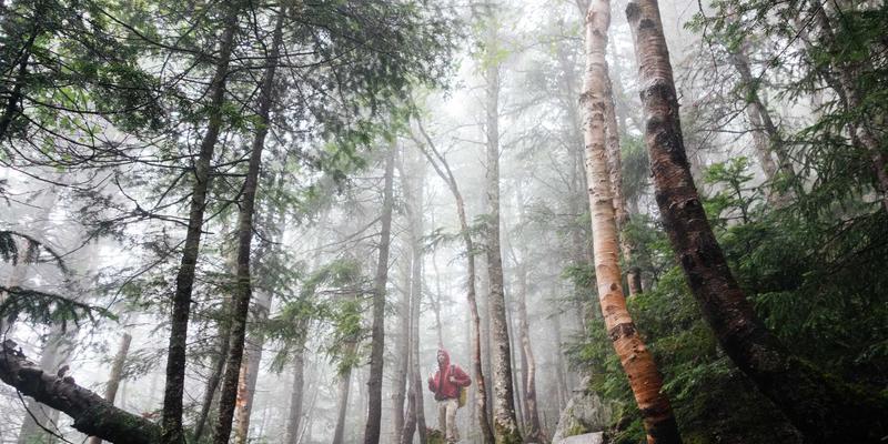 2024年开发者必看：精选开发教程、软件工具与编程资源全指南