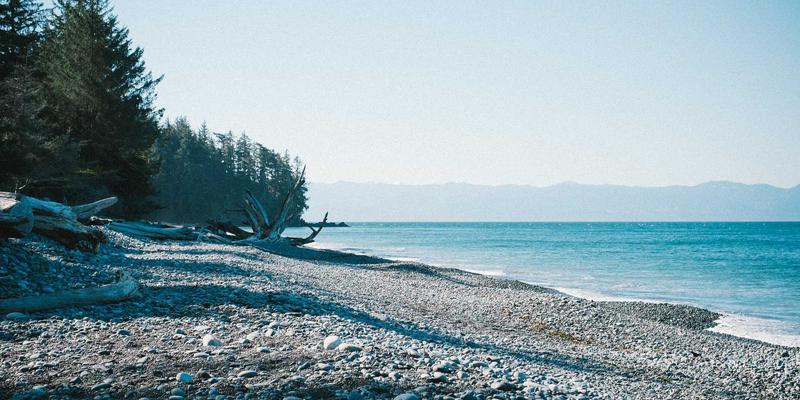 2024年精选编程资源与技术分享:一站式获取前沿IT资讯的终极指南