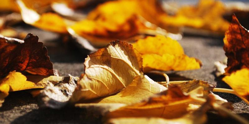 2024年网络技术趋势解析：从IT资讯到开发实战的全面指南