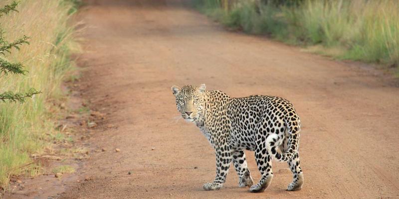 5G核心网开发教程：深度解析网络切片与边缘计算的技术融合与业务创新