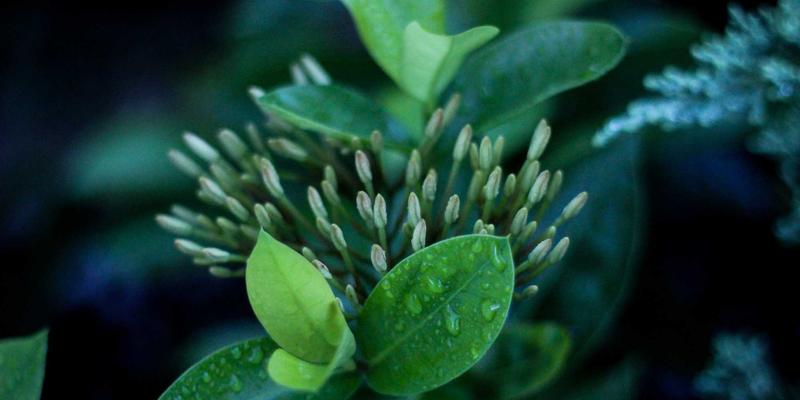 IPv6规模化部署：直面挑战、精研迁移策略与网络安全新考量 | IT资讯与技术分享