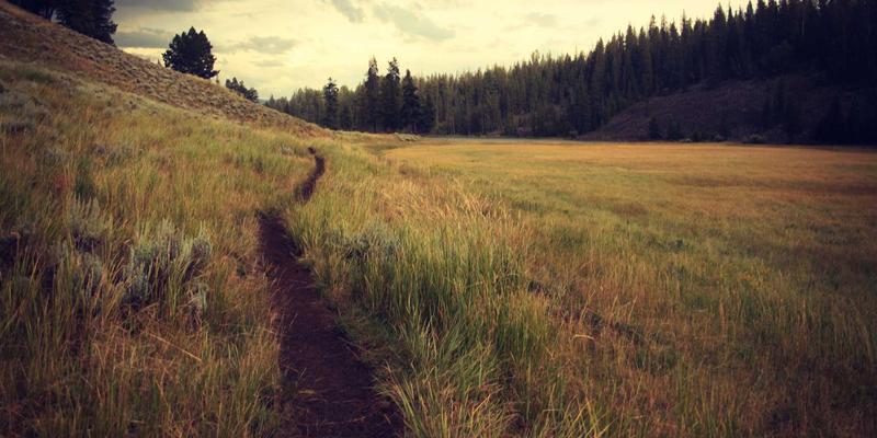 IT资讯、代码片段与编程资源：网络技术时代开发者的效率工具箱