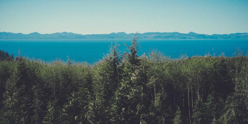 SD-WAN选型实战指南：利用软件工具与代码片段优化多云网络