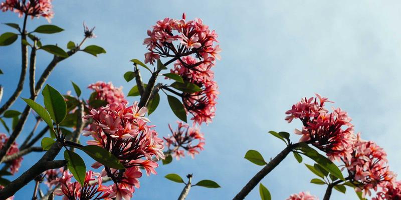 Wi-Fi 7（802.11be）标准详解：重塑企业网络与智能家居的连接体验