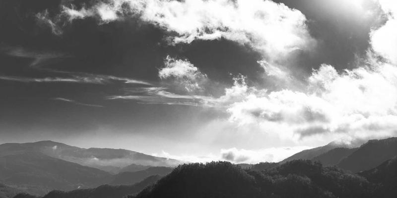 开发者必备：高效利用编程资源与代码片段的实战攻略