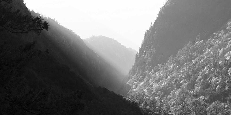 意图驱动网络：AI与自动化如何重塑企业网络，释放编程资源与代码片段价值