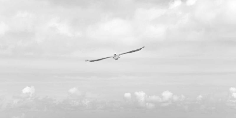 网络技术2024：精选编程资源、前沿IT资讯与高效技术分享指南