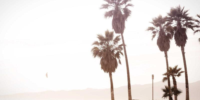 网络技术30:代码片段、技术分享与IT资讯如何塑造现代开发者生态