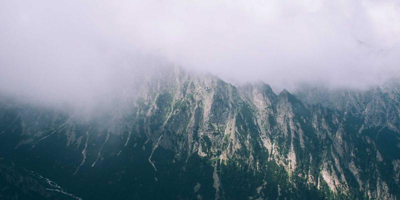 网络技术31：IT资讯、软件工具与编程资源全解析