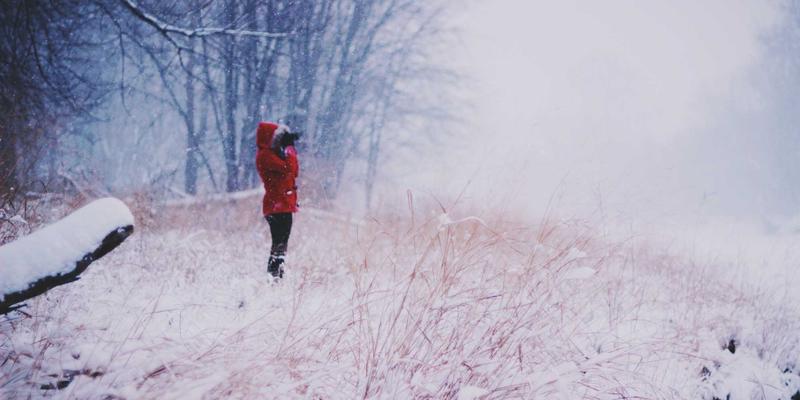 网络技术50：精选技术分享、编程资源与高效代码片段指南