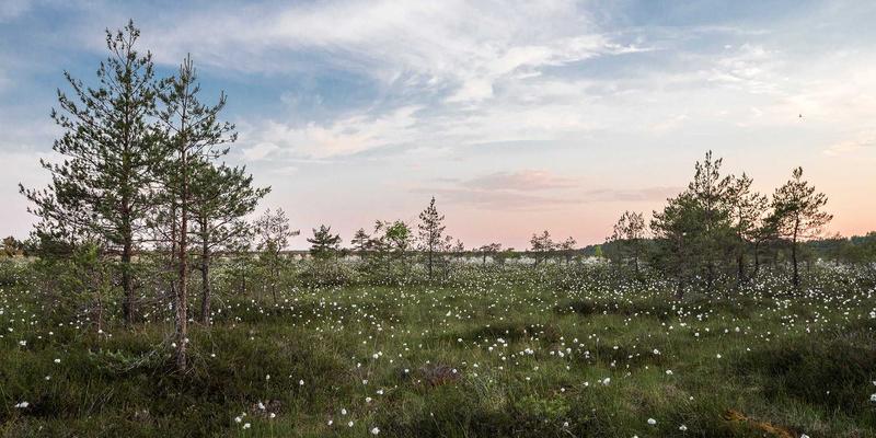 网络技术63：软件工具与编程资源如何重塑现代开发格局