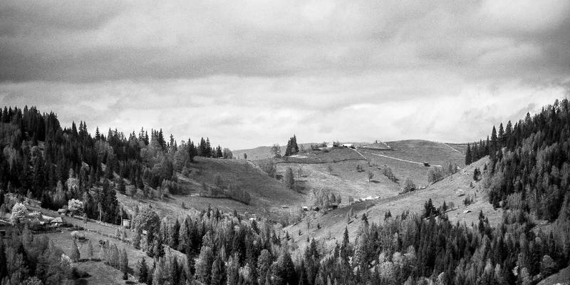 网络技术65：2024年开发教程、编程资源与软件工具全指南