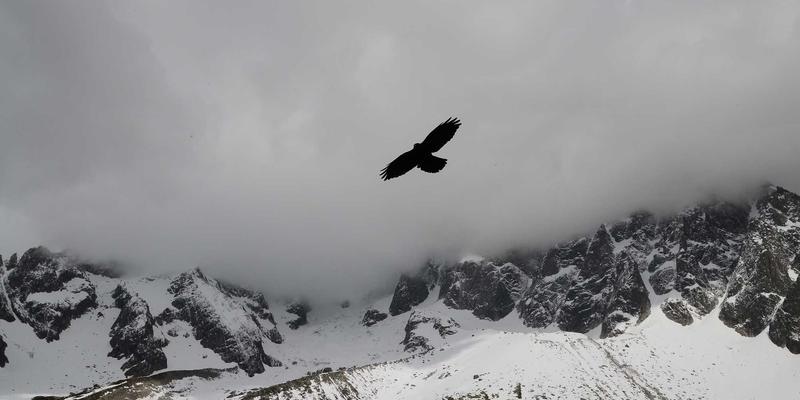 网络技术70:从IT资讯到开发教程的全景演进与实战指南