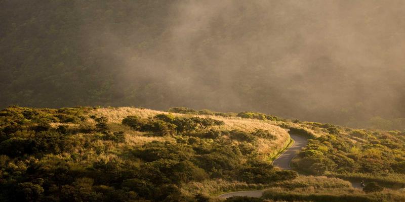 网络技术71：精选软件工具、开发教程与编程资源全解析