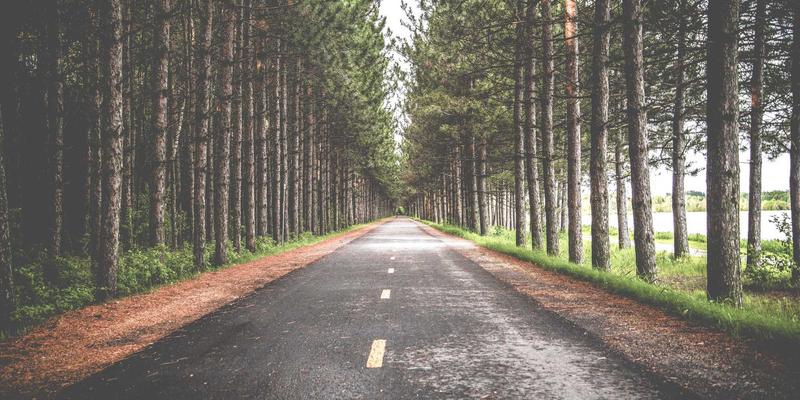 网络技术77：编程资源、开发教程与技术分享的深度整合指南