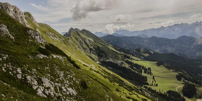 网络技术84:精选编程资源、代码片段与软件工具全解析