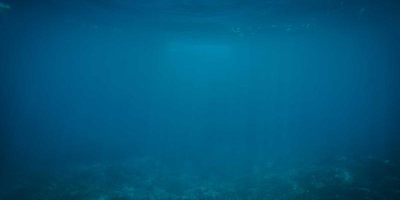 网络技术89：高效代码片段与编程资源实战指南