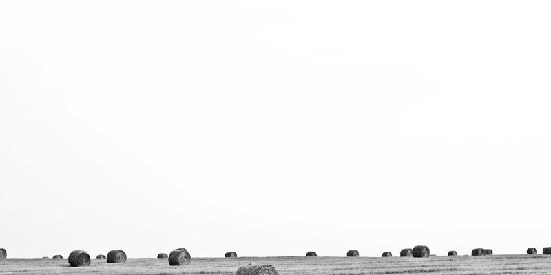 网络技术发展新趋势:IT资讯、软件工具与代码片段的融合创新