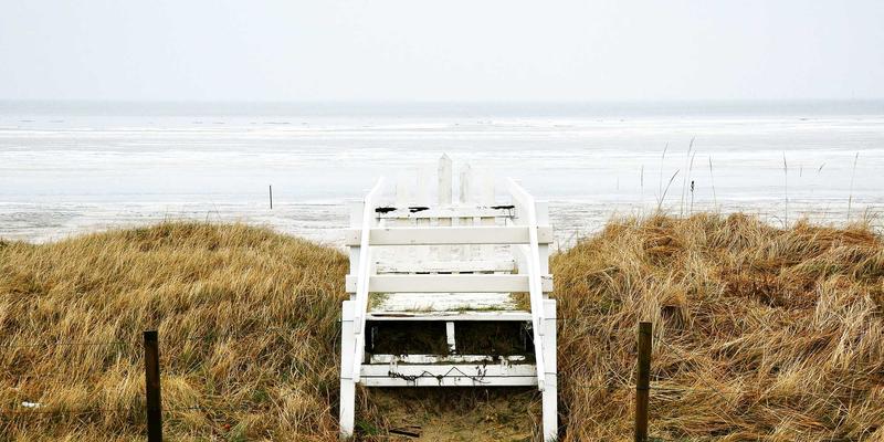 网络数据包代理与遥测技术：现代IT架构中分析与安全的基石