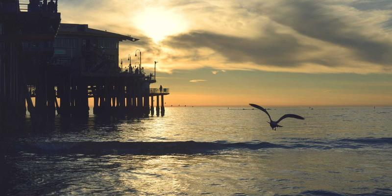 网络数据包代理：提升网络可视性与安全分析能力的核心软件工具