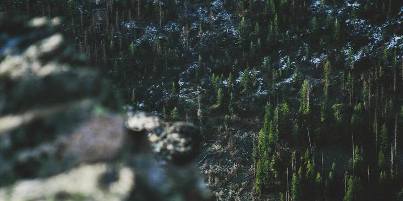 网络自动化运维：从脚本到AI驱动的演进之路与实用工具解析