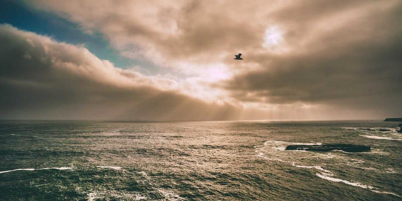 超融合基础设施（HCI）网络架构：利用软件工具与网络技术实现性能优化